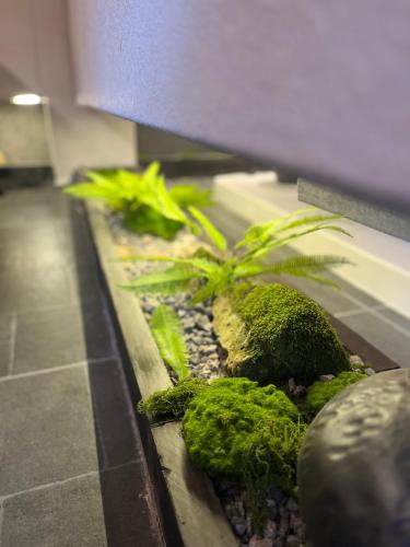 張家界市にあるNature Eco Designer Hotel--Avatar mountain view,Bubble Pool,Free shuttle to south gate of Park Entrance,Local trip plan & Tourism Service,Full Renovation for 10 monthsのギャラリーの写真