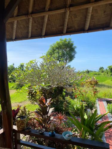 a view of a garden from a window at Pondok Punaga in Jasri