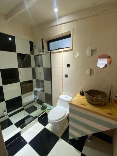 a bathroom with a toilet and a sink at Tiny Houses del bosque in Pichilemu