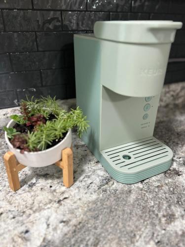 a green flower pot sitting next to a potted plant at The Bonny Bungalow in Waynesville