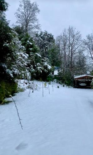 a snow covered field with trees and a house at Chalet con Tinaja LicanRay in Challupen
