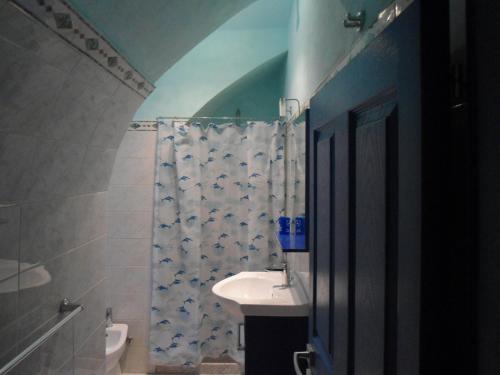 a bathroom with a sink and a shower curtain at Appartamento Gallipoli in Gallipoli