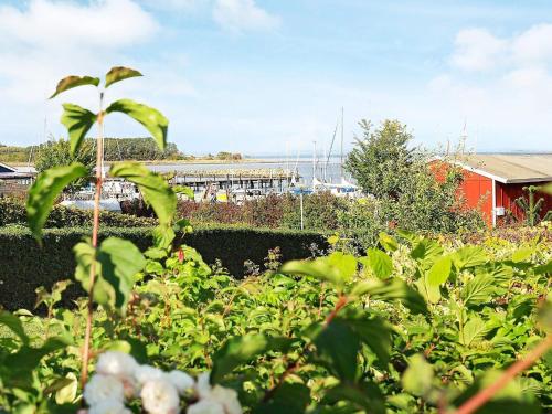 a field of plants with a red building in the background at Marina Retreat in Aero - By Traum Ferienwohnungen in Ærøskøbing