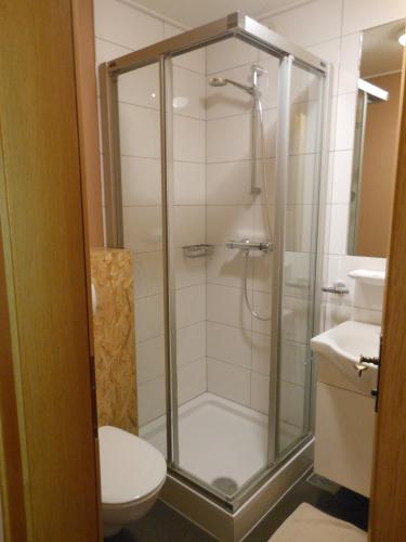 ein Badezimmer mit Dusche und Toilette in der Unterkunft Hotel Landle in Galtür