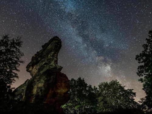 a starry night with the milky way at Nature Escape in Meisdorf in Meisdorf