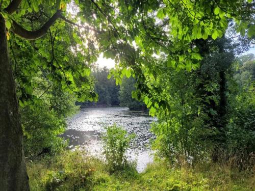 a view of a river through a group of trees at Nature Escape in Meisdorf in Meisdorf