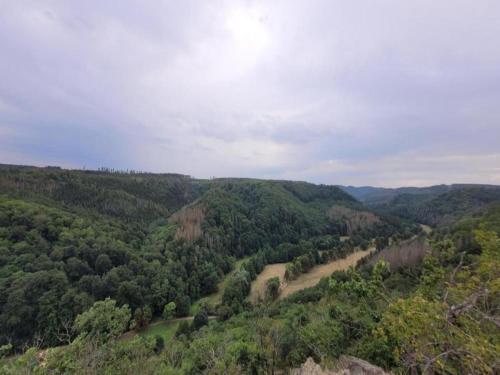 an aerial view of a valley with trees at Nature Escape in Meisdorf in Meisdorf