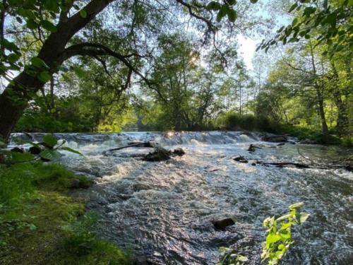 a river with rocks and trees in the background at Nature Escape in Meisdorf in Meisdorf