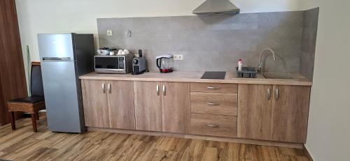 Aranyhal Apartmanにあるキッチンまたは簡易キッチン