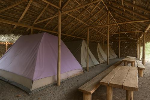 Φωτογραφία από το άλμπουμ του Earth Camping - Ella σε Ella