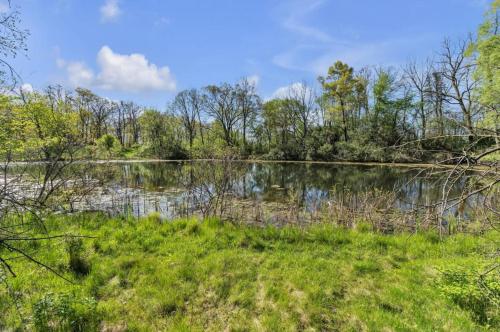 a view of a lake with trees and grass at Heart of Ann Arbor Stay in Ann Arbor