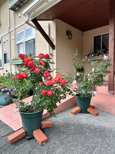 two large pots of red roses in front of a house at Minamiaso Nobara Inn in Minami Aso
