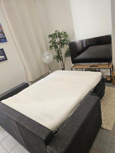 cozy new apartment