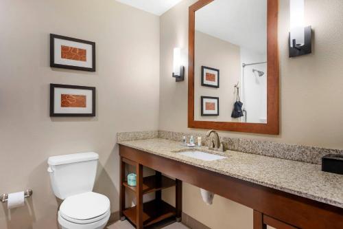 a bathroom with a toilet and a sink and a mirror at Comfort Suites West Omaha in Omaha