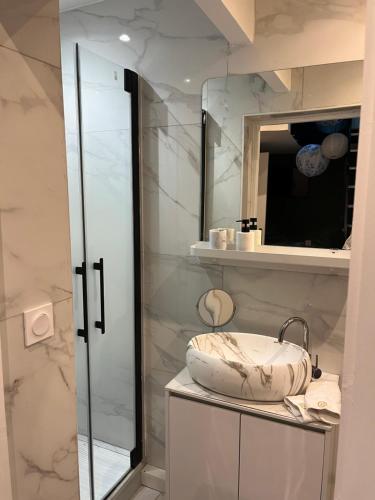 une salle de bains avec un lavabo et un miroir dans l'établissement charmant duplex 5, au Havre