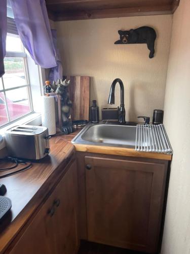 a kitchen with a sink and a black cat on the wall at Tiny Tiny Bunkhouse in Cane Beds