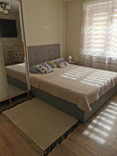 a bedroom with a bed and a large mirror at Апартаменты-студия Olga in Narva