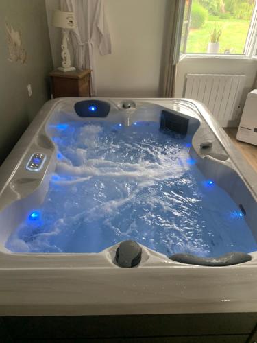 Afbeelding uit fotogalerij van espace détente de rivière in Bettencourt-Rivière