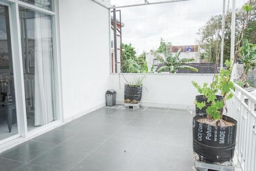 an empty patio with plants and a window at Griya Mahoni Palagan Homestay Jogja in Ngaglik