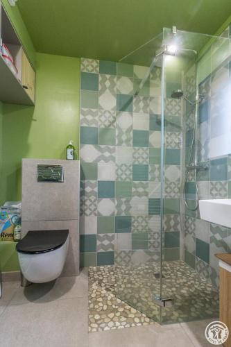 a bathroom with a shower and a toilet and a sink at La joline, maison bioclimatique in Montastruc-de-Salies