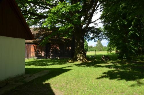 Gallery image of Pension U Starýho Dubu in Jindrichuv Hradec