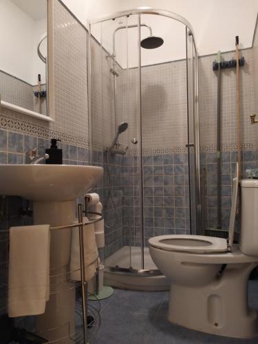 a bathroom with a toilet and a shower and a sink at Cornisa Tourists Home in Toledo
