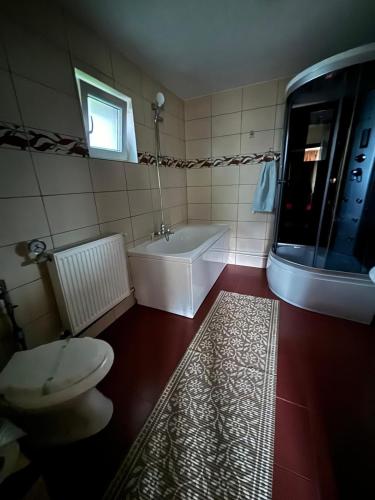 a bathroom with a tub and a toilet and a sink at Vila CETINA in Fundu Moldovei