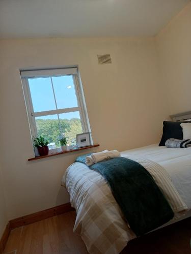 Flat in centre of Strokestownにあるベッド