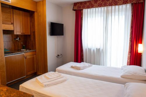a hotel room with two beds and a window at Residence Les Coupoles in Champoluc