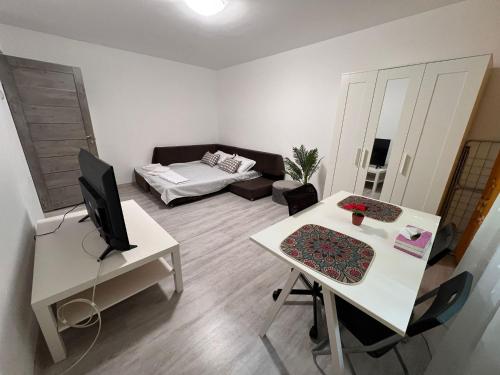 Ένα ή περισσότερα κρεβάτια σε δωμάτιο στο Garsoniera langa Spital Bagdasar,Obregia și Institutul pentru ordine publica NU OFER FACTURA