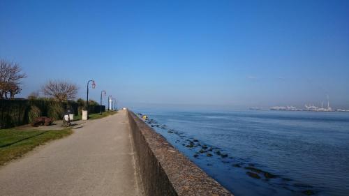 a sidewalk next to a body of water with birds at La Cabane du Pecheur in Honfleur