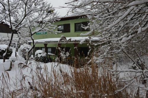 Una casa verde en la nieve con árboles cubiertos de nieve. en Haus Im Wiesengrund EG, en Thalfang
