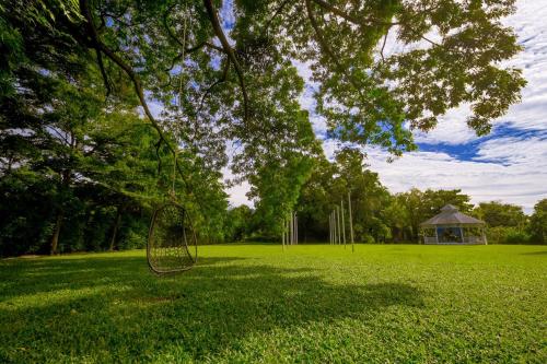 a tree with a net in a field with a gazebo at Sheva Om in Ban Wat Pho Thong