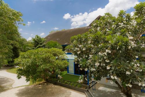a house with a tree in front of it at Sheva Om in Ban Wat Pho Thong