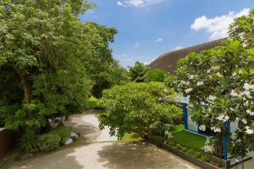 an overhead view of a garden with trees and a path at Sheva Om in Ban Wat Pho Thong