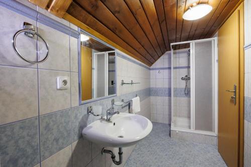 a bathroom with a sink and a mirror at Pension U Golfu Cihelny in Karlovy Vary
