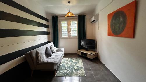 a living room with a couch and a television at Appart équipé tout confort in Le François