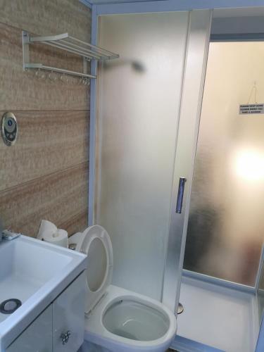 a bathroom with a shower and a toilet and a sink at Beach Glamping Dome Dauin Modern Style in Dauin