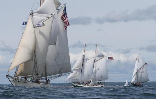 three sailboats with white sails in the water at Ocean House Hotel at Bass Rocks in Gloucester