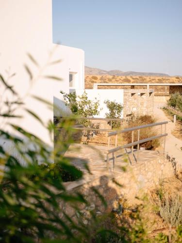 Gallery image of Yara Residence in Kampos Paros