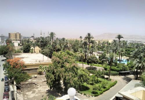 Бассейн в Grand Memphis Hotel in Luxor или поблизости