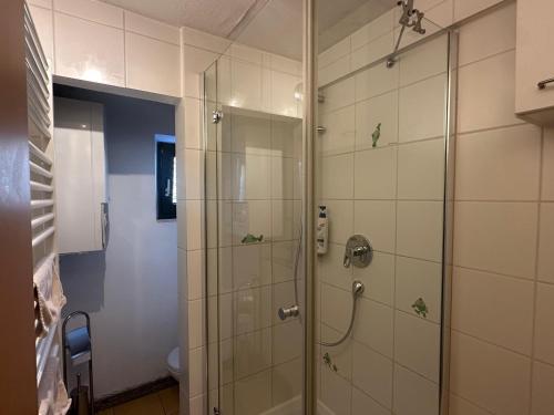 a bathroom with a shower with a glass door at Zimmervermietung Hirschmann Nürnberg/Messe in Nürnberg