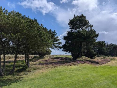 a group of trees in a field with a blue sky at Seaside Escape in Ho Bay - By Traum Ferienwohnungen in Ho