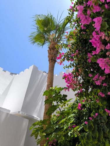 a palm tree and flowers in front of a white building at Grande demeure de charme in Asilah