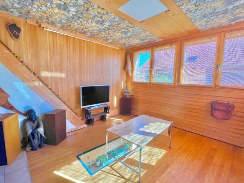 Le Voyage - Séjour atypique proche de Colmarにあるテレビまたはエンターテインメントセンター
