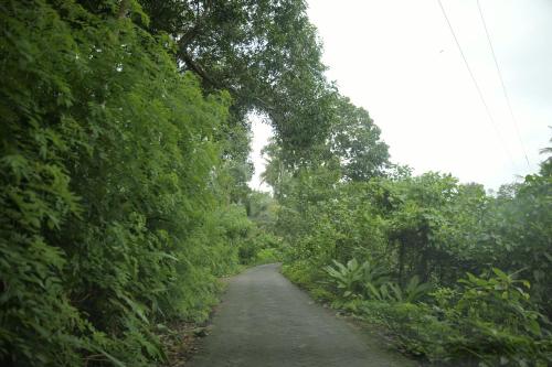 a dirt road with trees on both sides at Ra Ga Riverside - 2 Bedroom Retreat in Kumarakom