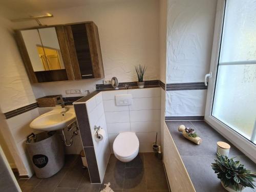 a small bathroom with a toilet and a sink at Haus Waldstein Kraxler Pärchen in Weißenstadt