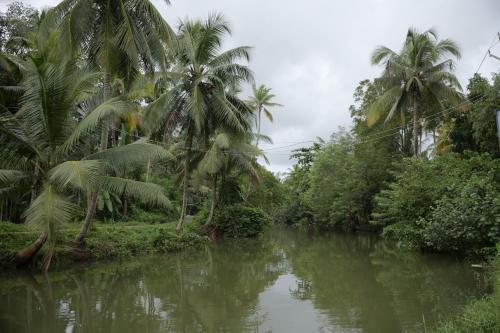 a river with palm trees on the side of it at Ra Ga Riverside - 2 Bedroom Retreat in Kumarakom