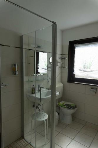 a bathroom with a sink and a toilet at Haus Im Wiesengrund OG in Thalfang