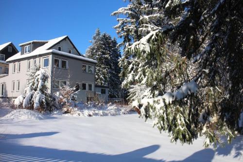 a house with snow covered trees in front of it at RuDi Ferien Ressort in Hahnenklee-Bockswiese